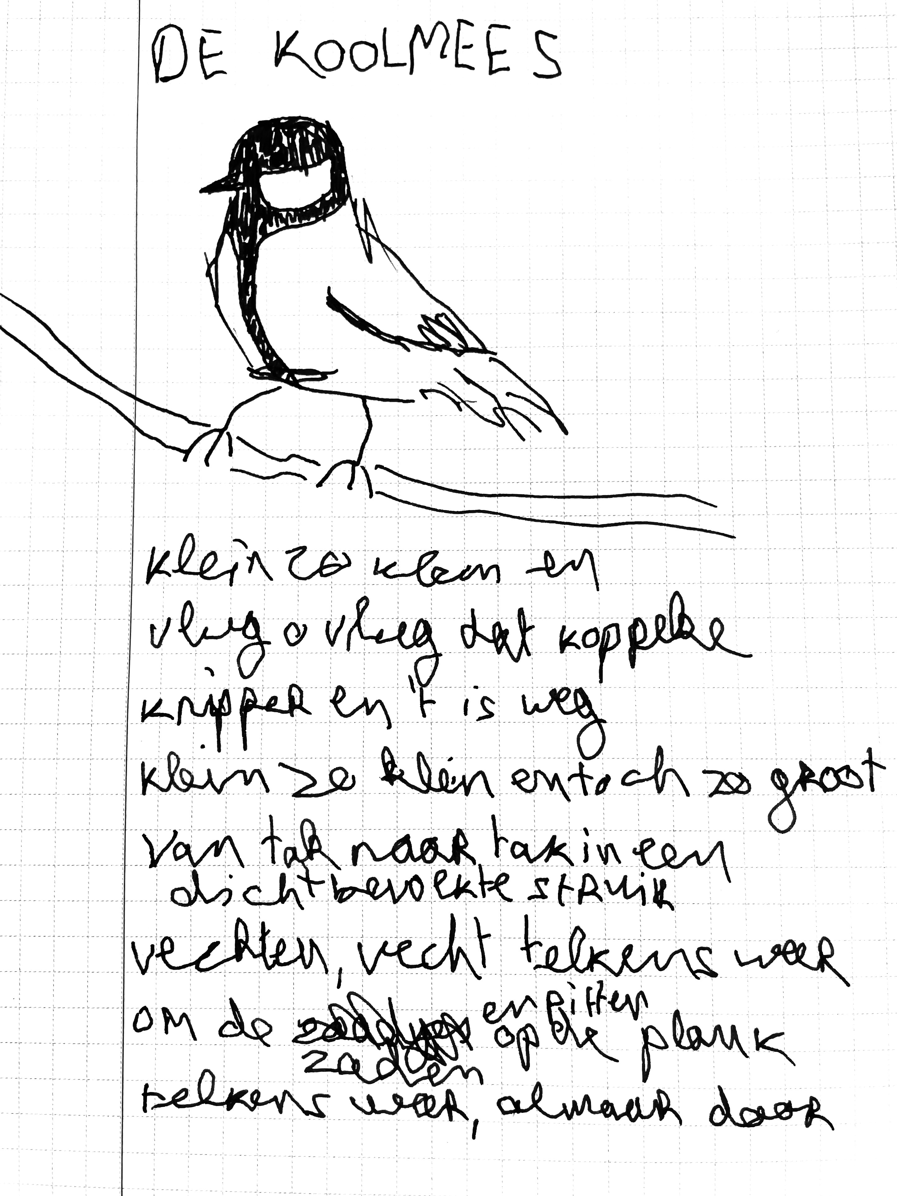 an ink drawing of a great tit, above which reads 'DE KOOLMEES', which is the birds name in dutch. The poem reads: 'klein zo klein en / vlug o vlug dat koppeke / knipper en 't is weg / klein zo klein en toch zo groot / van tak tot tak in een dichtbevolkte struik / vechten, vecht telkens weer / om de zaden en pitten op de plank / telkens weer, almaar door'.