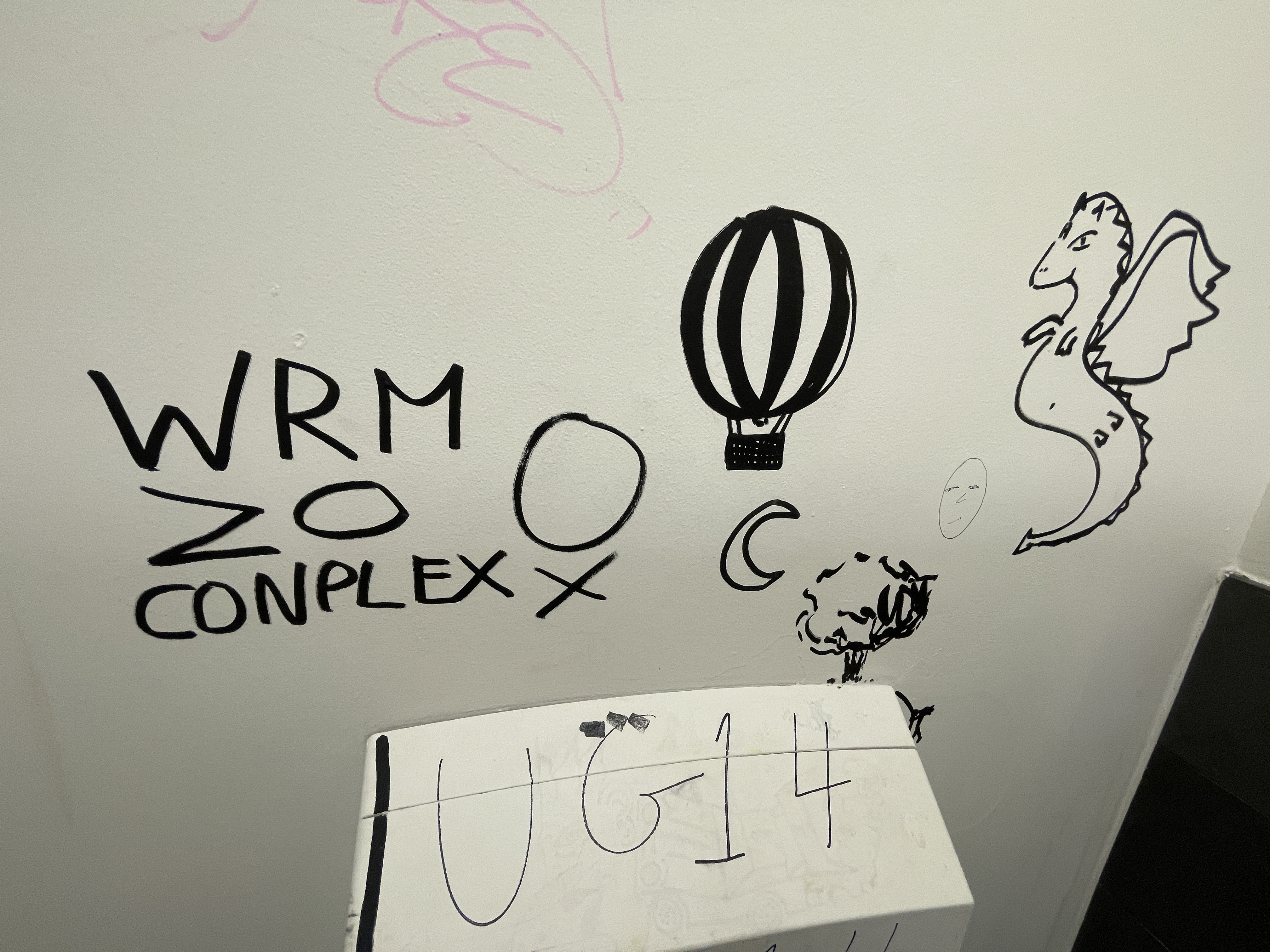 Translated: 'Why so conplex', along with drawings of a tree, a hot air balloon, a moon and a dragon.
