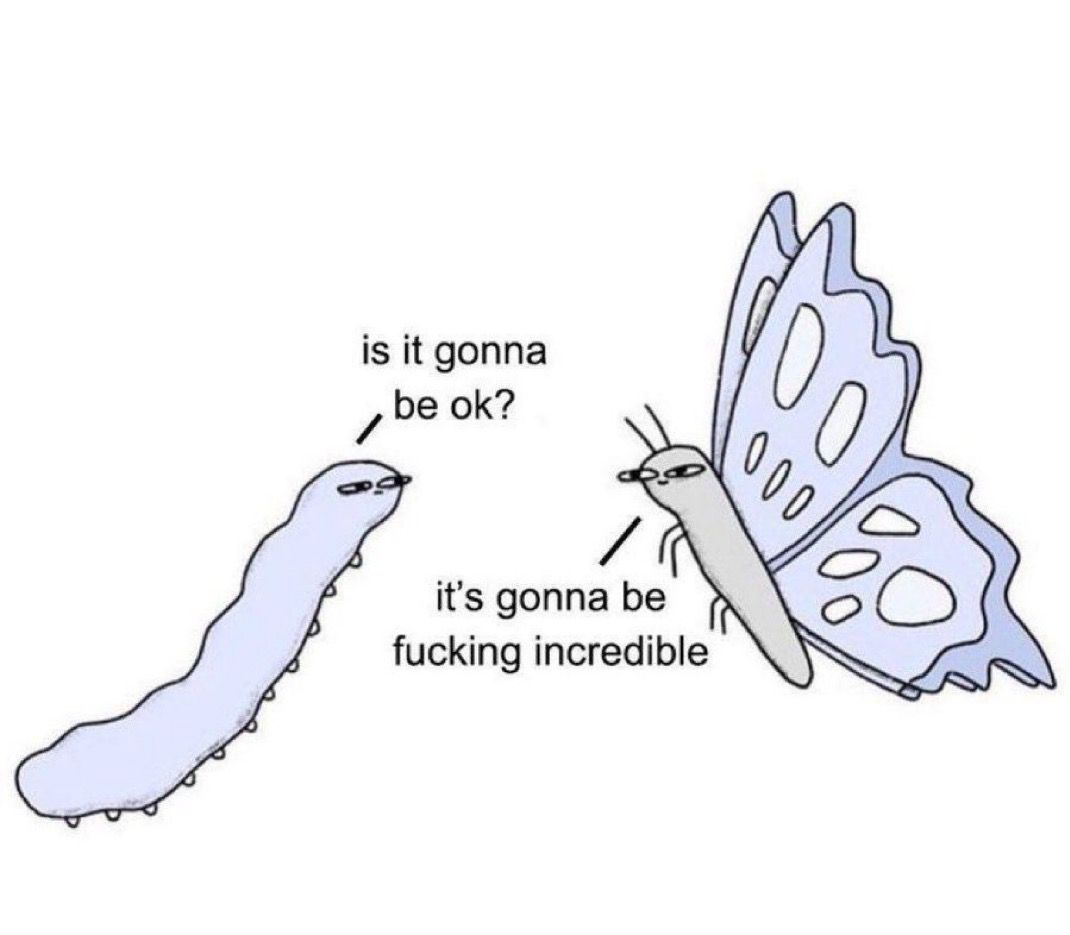 catterpillar: 'is it gonna be ok?' ; butterfly: 'its gonna be fucking incredible'